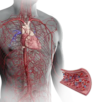 arterial system pictogram