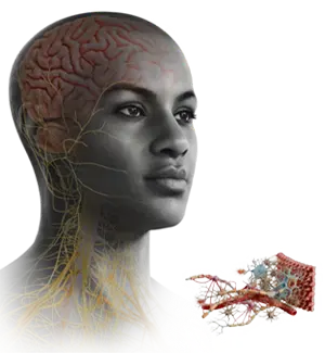 nervous system pictogram