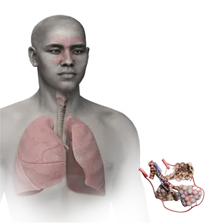respiratory system pictogram